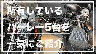 【バイク雑談】所有しているハーレー5台を一気にご紹介