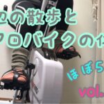 ほぼ50女。vol.12 海辺の散歩とエアロバイクの休日