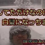 除雪機あるある？除雪してただけなのに白髪になっちまった#Shorts