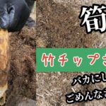 【竹チップ】をバカにしてすいません　序章編