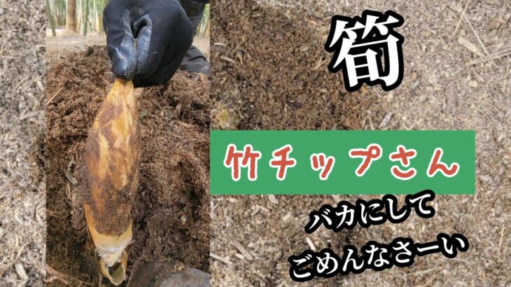 【竹チップ】をバカにしてすいません　序章編