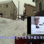 べた雪の除雪方法!!　～ミニローダーとヤマハ除雪機時々中華除雪機～　中国ｖｓ日本