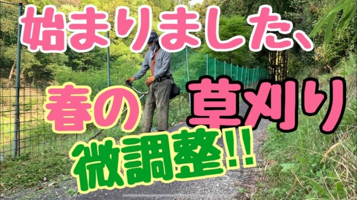 【草刈機】春の雑草草刈り、ナイロンコードで簡単に刈るつもりが、久しぶりで慣れなくて、素人っぽい迷いのある刈り方に‼︎それでも安全対策だけは完璧に‼︎