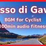 【エアロバイク100分音楽景色】ガヴィア峠のヒルクライム  Passo di Gavia Climb 25.6km, 1,428m+