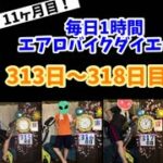 アラフォーおデブ主婦の毎日1時間エアロバイクダイエット！11ヶ月目！313日目～318日目！