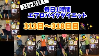 アラフォーおデブ主婦の毎日1時間エアロバイクダイエット！11ヶ月目！313日目～318日目！