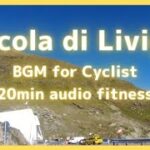 【エアロバイク20分音楽景色】リヴィーニョ峠のダウンヒル Forcola di Livigno Descent 9.35km, 417m-