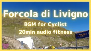 【エアロバイク20分音楽景色】リヴィーニョ峠のダウンヒル Forcola di Livigno Descent 9.35km, 417m-