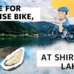 エアロバイク用風景動画　朝の白石湖　紀北町【20分】20 min exercise bike movie in the morning at Lake Shiraishi , Mie , Japan