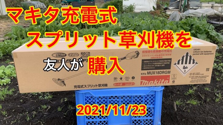 【家庭菜園】マキタの充電式スプリット草刈機を友人が購入 20211123