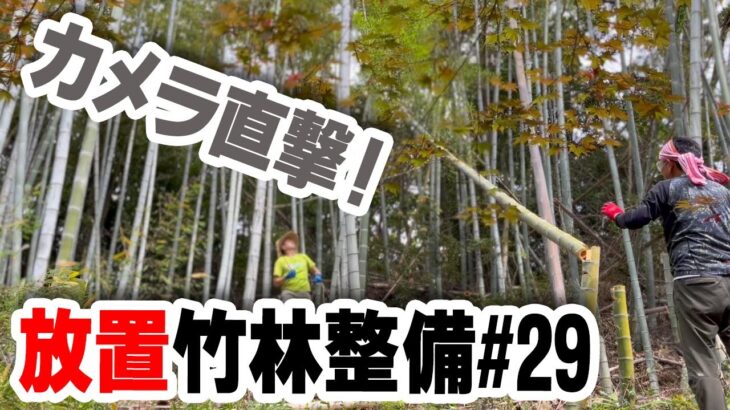 隣人と伐採【竹林整備】#29 放置竹林を景観美化