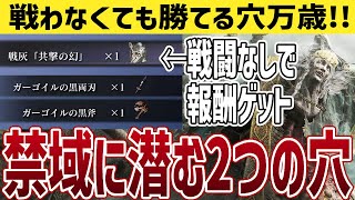 【エルデンリング】禁域の夜騎兵とガーゴイルは穴で撃破！禁じられた2つの穴【ELDEN RING】戦灰 共撃の幻