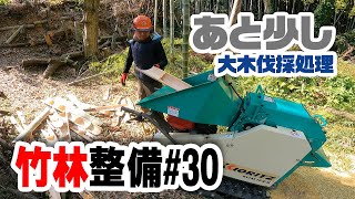 急斜面の片づけ【竹林整備】#30 竹と伐採大木をウッドチッパーで粉砕処理