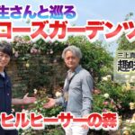 【5万名様記念SP】大野耕生さんと巡る春のローズガーデンツアー！【レッドヒルヒーサーの森】【ローズガーデン】【バラ】【薔薇】【趣味の園芸】