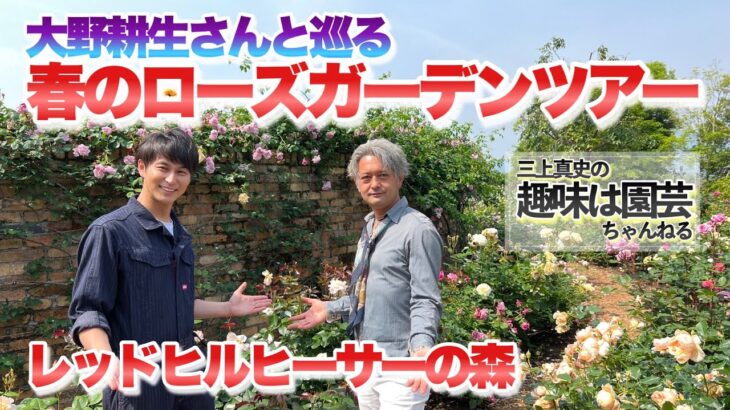 【5万名様記念SP】大野耕生さんと巡る春のローズガーデンツアー！【レッドヒルヒーサーの森】【ローズガーデン】【バラ】【薔薇】【趣味の園芸】