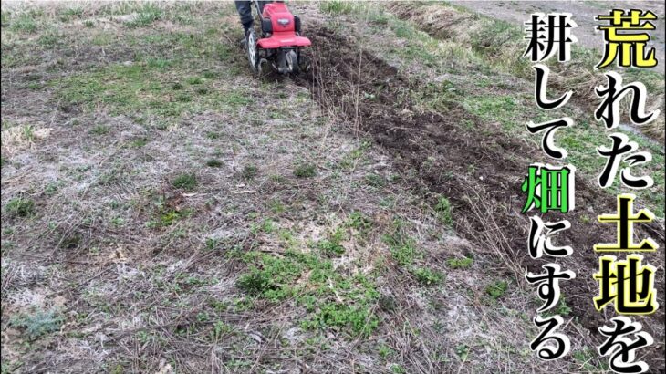 【HONDAの耕運機】草で生い茂った土地を畑にしてみます！