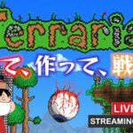 【Terraria】今日も今日とて穴を掘る。【PC】