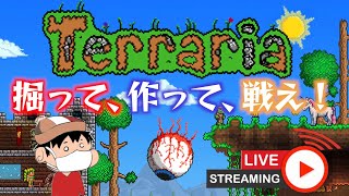 【Terraria】今日も今日とて穴を掘る。【PC】