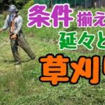 【草刈機】楽すぎて終われない‼︎U字ハンドルで平地でナイロンコードで自動繰り出しで巻き付き防止カッター付きでイヤマフ着けて、完全防備したら、ノンストレスで延々と草刈りできそう‼︎