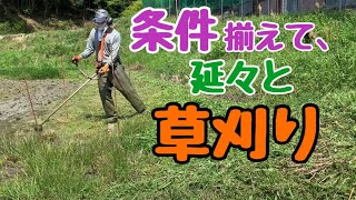 【草刈機】楽すぎて終われない‼︎U字ハンドルで平地でナイロンコードで自動繰り出しで巻き付き防止カッター付きでイヤマフ着けて、完全防備したら、ノンストレスで延々と草刈りできそう‼︎