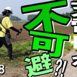 バッテリー最小限で終わらせられるか？！マキタ充電式草刈り機で草刈りしたよ