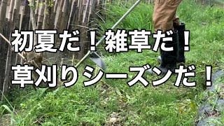 草刈りシーズン始まる！田んぼの周りを草刈機で整備するぞ！！