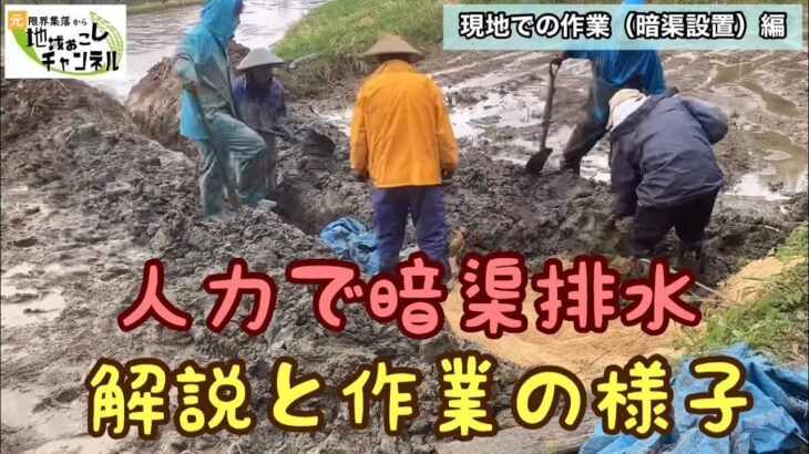 田んぼから水が湧いている時の対処方法が詳しくわかる動画（暗渠排水）