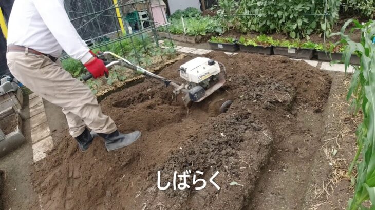 【漢の家庭菜園】②耕運機でおこす