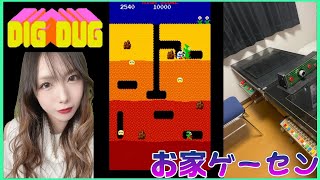 【レトロゲーム】戦略的穴掘りゲーム『ディグダグ』