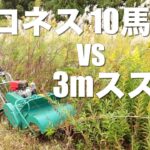 【出張草刈り】３ｍ超えのススキはハンマーナイフモアでも大変でした