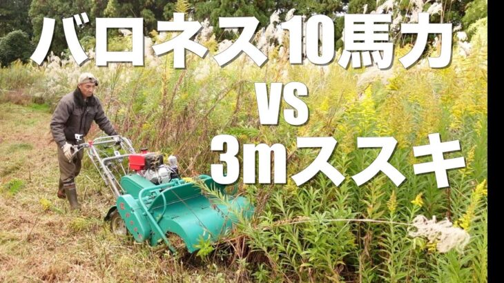 【出張草刈り】３ｍ超えのススキはハンマーナイフモアでも大変でした