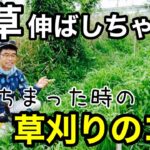 雑草に埋もれた夏野菜の畝を草刈機とノコギリ鎌で素早く刈るコツ【自然農】2022年6月27日