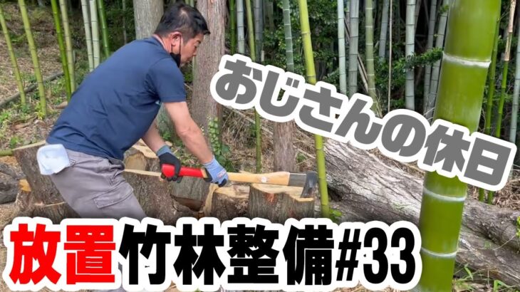 玉切直後の薪割【竹林整備】#32  椎の木の片づけ　おじさんの休日　カブトムシもビックリ