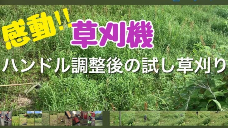 【草刈機】5cmの奇跡！！ハンドルを微調整して草刈りしてみた感想‼︎ナイロンコード専用機U字ハンドルで斜面の草刈りをしたい‼︎ハンドル調整のアドバイスを実践‼︎