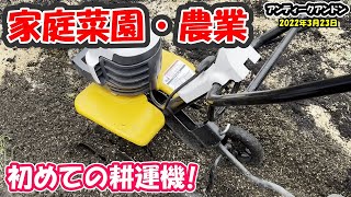 【家庭菜園】耕運機を初めて使う！おばあちゃん家の畑開墾【リョービACV-1500】【育苗ヒーター】【誰かから戴いた穴開き黒マルチ】【猫動画】