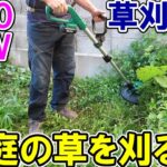 【安全】KIMOの20V充電式ナイロン草刈り機で庭の下草を刈る