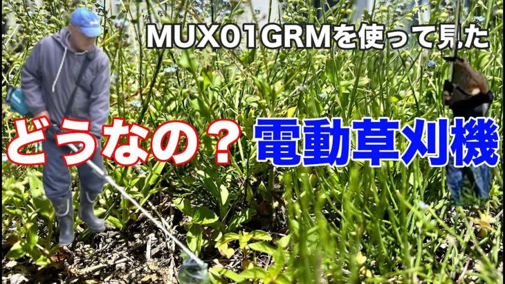 MUX01GRMMを初使用！　マキタの電動草刈り機を農家が使って見た