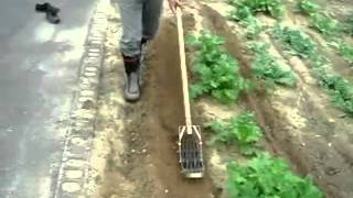 手押し中耕除草機 たがやす T-10 (耕巾5cm) 中耕・除草作業に