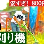 激安！電動草刈り機 ８００円（別）試してみる  岡山県ミスターマックス（ディスカウントストア）