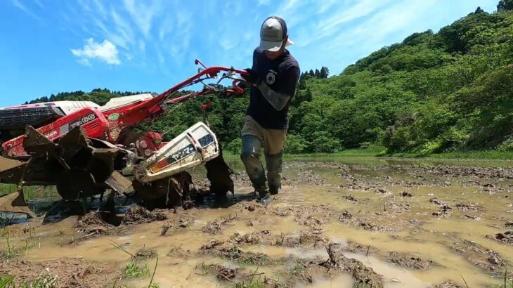 田んぼの代掻きを耕運機で行いました。（タイムラプス）