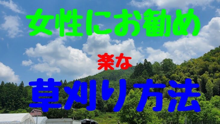 【力の無い方】でも出来る【草刈り】。【自走式草刈り機】#草刈り#自走式草刈り機#力のいらない草刈り