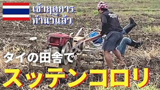 【タイで米作り体験】タイのド田舎で耕運機に振り回されスッテンコロリ！泥に足を取られる！～耕運＆苗代作り～ / タイ北部メーソート