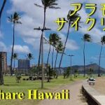 【アラモアナ パーク】ハワイでサイクリング #2　Bikeshare Hawaii