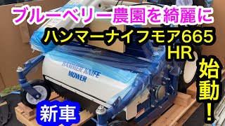 ブルーベリー畑用の草刈り機が壊れました😭今度の愛車は国産ハンマーナイフモアHR665。