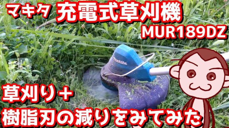 草刈り＋樹脂刃の減りをみてみた。マキタ 充電式草刈機  MUR189DZ