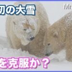今季初の大雪！ホッキョクグマの行動に注目！除雪機も登場　Polar Bears in snow