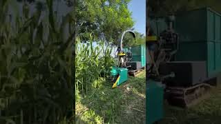 Small corn feed harvesting machinery, good machinery and good tools to save time and effort