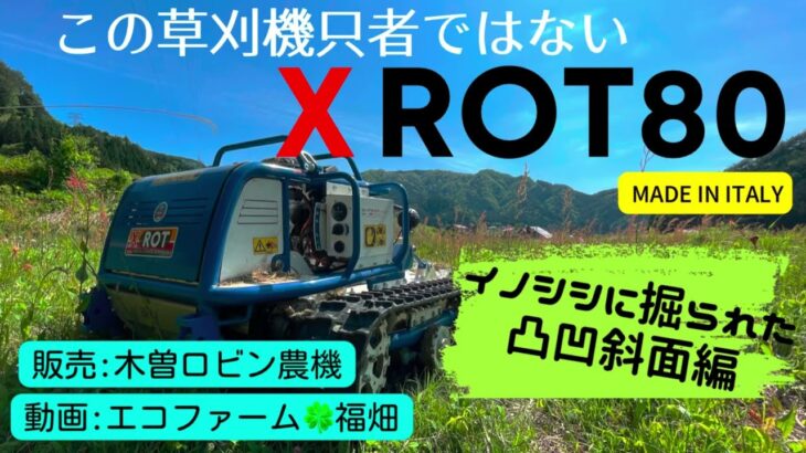 ラジコン草刈機XRot80  イノシシに掘られた凸凹斜面編