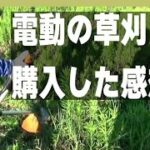 主婦でも簡単☆電動の草刈り機