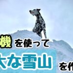 除雪機で巨大な雪山作った結果、得意の運動神経を発揮する犬【犬と遊ぶ】